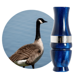 recall designs calls goose short fuse acrylic blue
